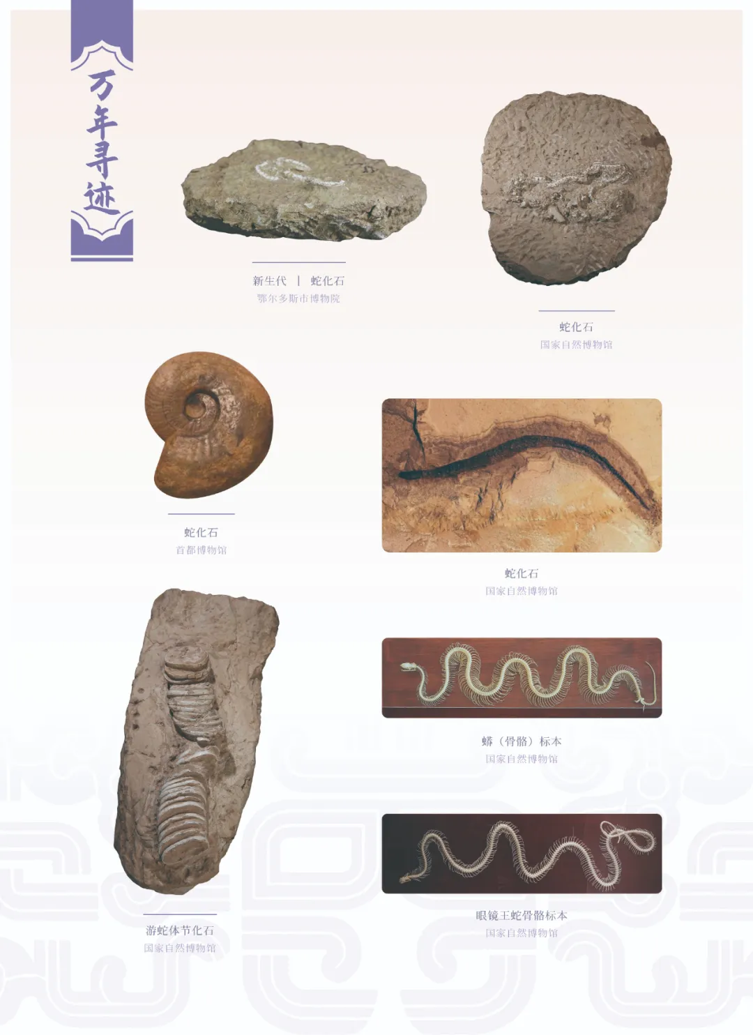 图片 10.png 图片 10.png