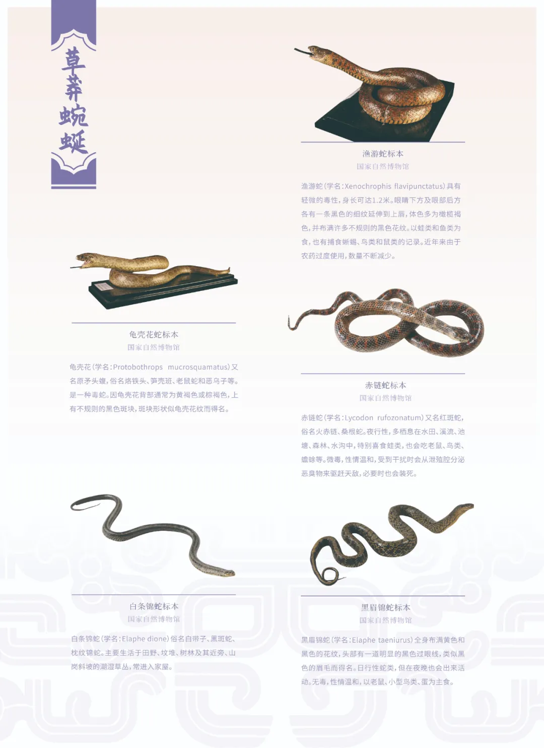 图片 12.png 图片 12.png