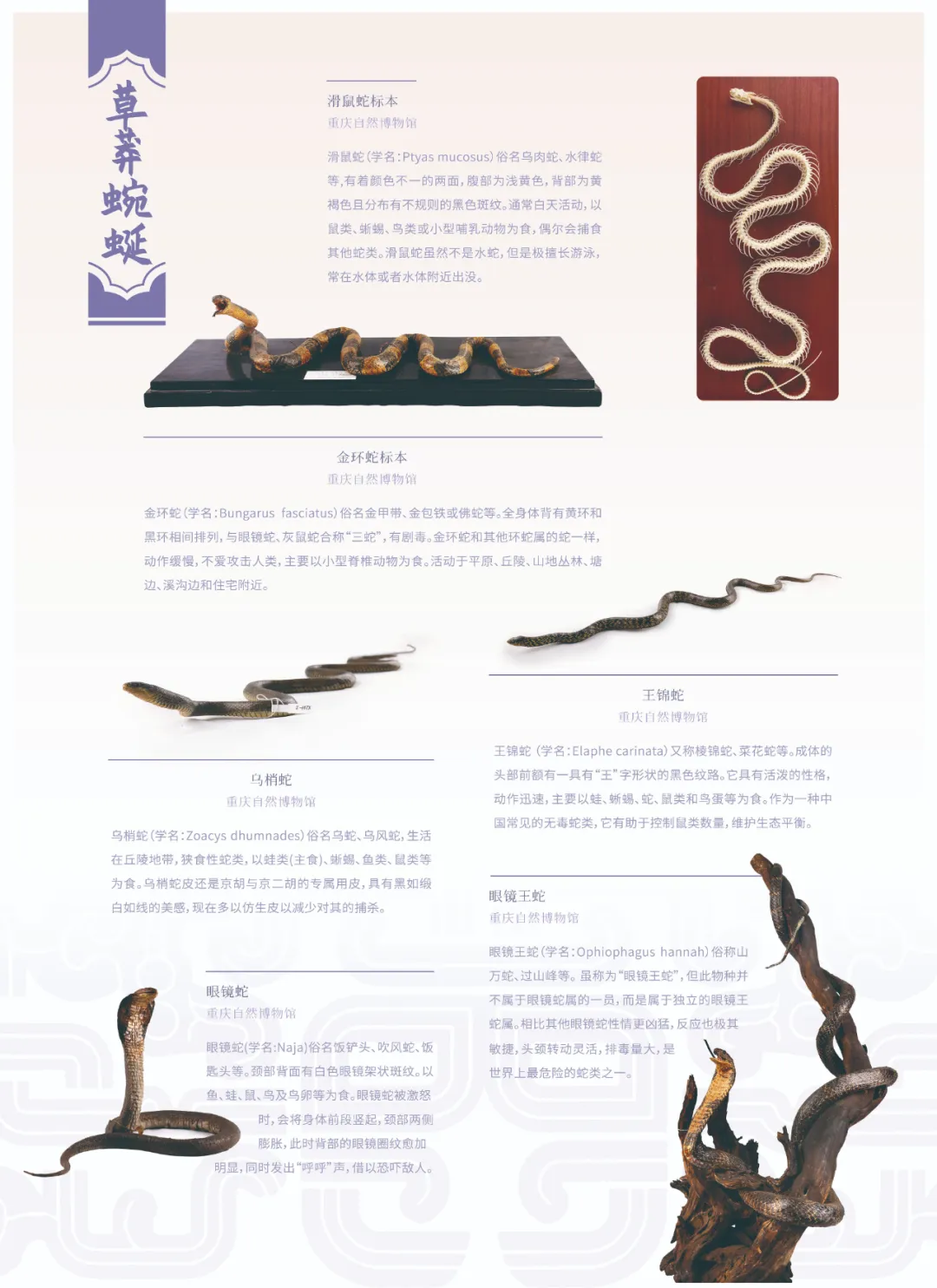 图片 13.png 图片 13.png