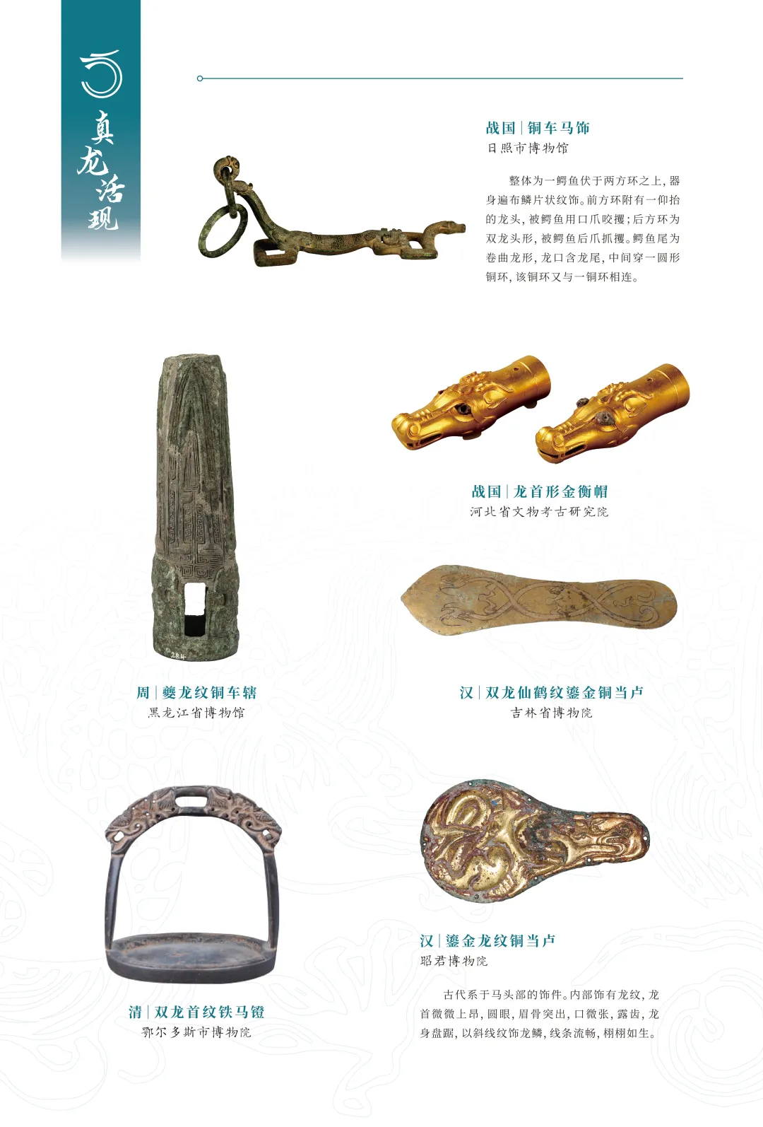 图片 23.jpg 图片 23.jpg