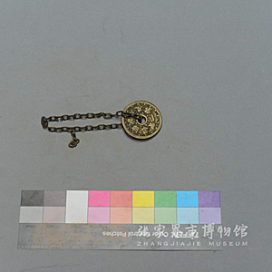 Image Description