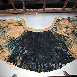 Image Description